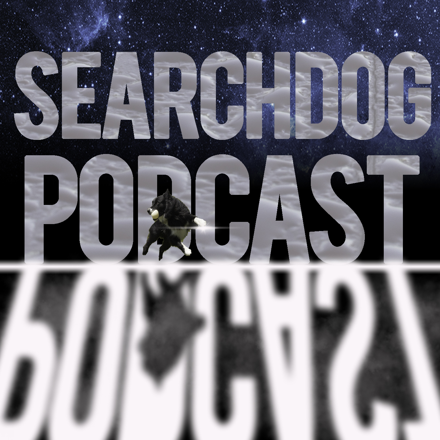 Episode 50 K.T. Irwin - Scenarios Training
