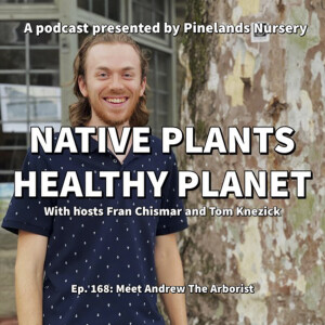 Meet Andrew The Arborist