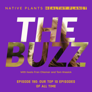 The Buzz - Our Top 10 Episodes of All-Time