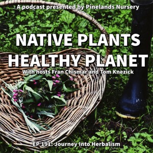 Journey into Herbalism