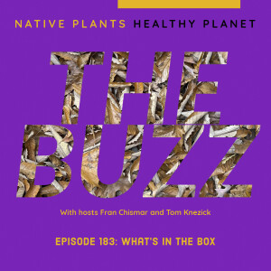 The Buzz - What’s in the Box?