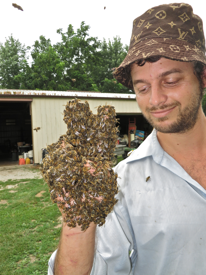 The Treatment-Free Beekeeping Podcast