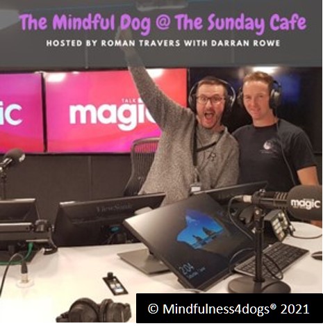 The Mindful Dog