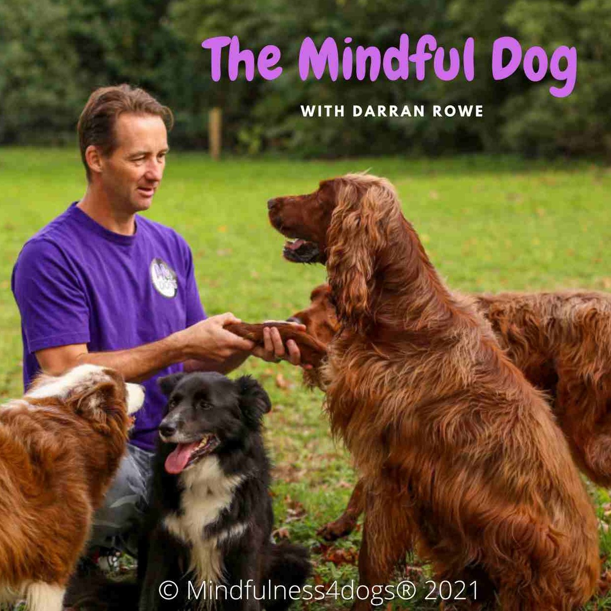 The Mindful Dog