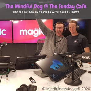 The Mindful Dog