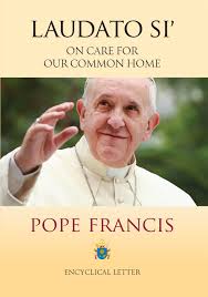 Unpacking Pope Francis' Letter on Creation, Laudato Si' Father Nathan Reesman