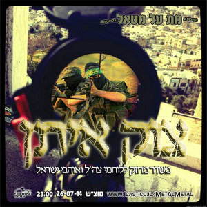 תוכנית 293 – צוק איתן