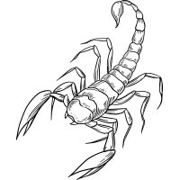 Rahu Ketu Transit 2023 for Scorpio Rahu Ketu Transit 2023 for Scorpio