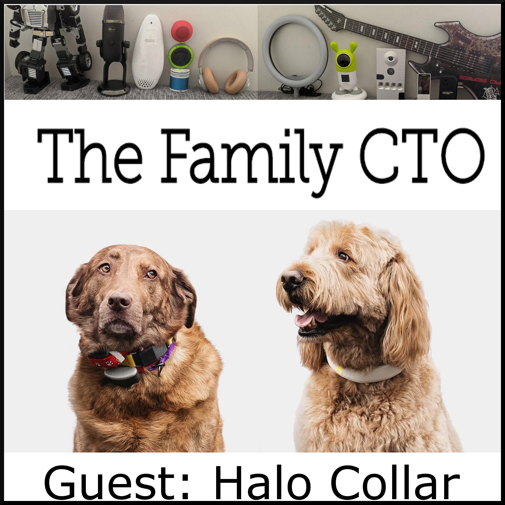 Not Just Invisible: The Virtual Dog Fence, with guest Halo Collar