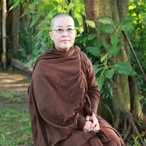 Calming Our Thinking Mind | Ajahn Hasapanna | 22 December 2023