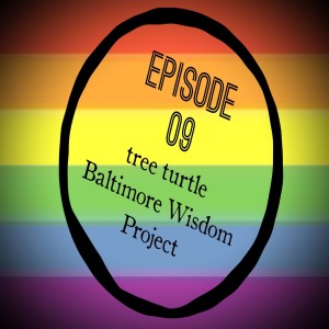 Episode 09: tree turtle - The Baltimore Wisdom Project