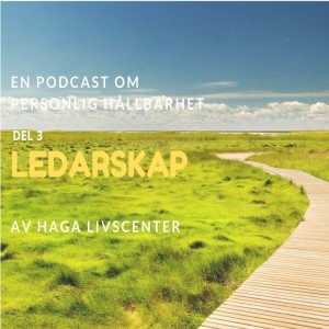 3. Ledarskap
