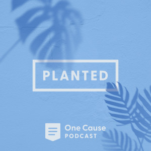 Planted – Part 2