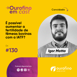 Episódio 130 - É possível aumentar a fertilidade de fêmeas bovinas com a IATF?