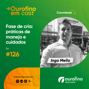 Episódio 126 - Fase de cria: práticas de manejo e cuidados
