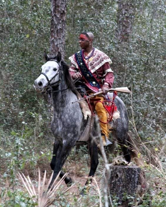 Seminole Wars Authority