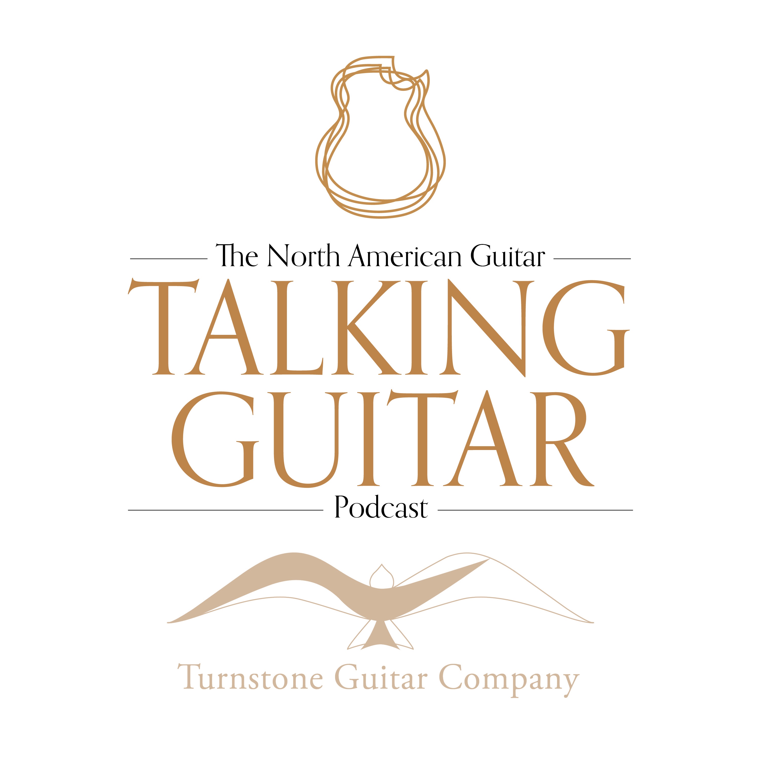 Talking Guitar