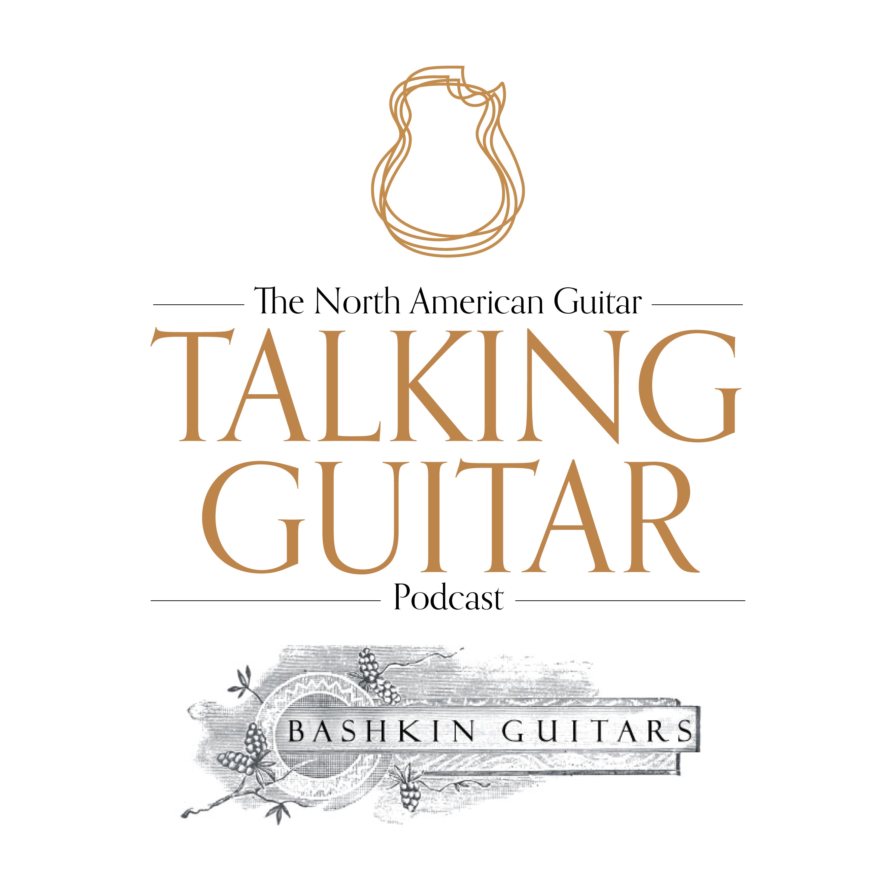 Talking Guitar
