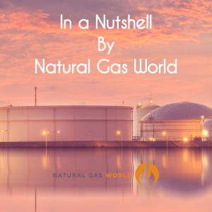 The role of natural gas in the UK power market