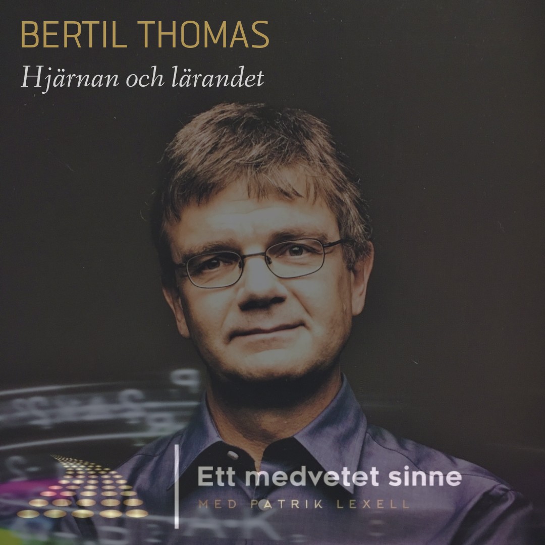 Ett medvetet sinne