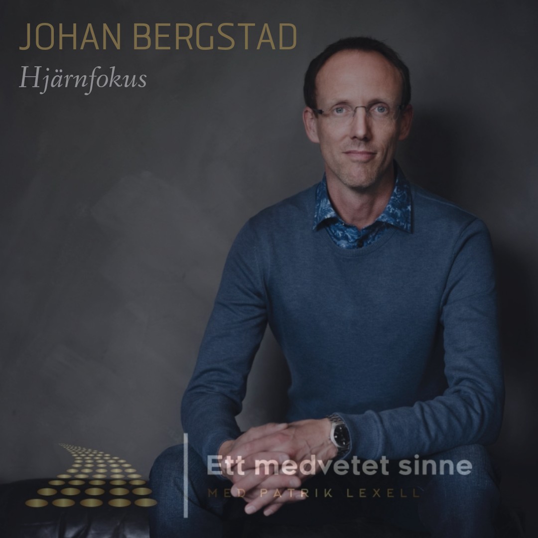 Ett medvetet sinne