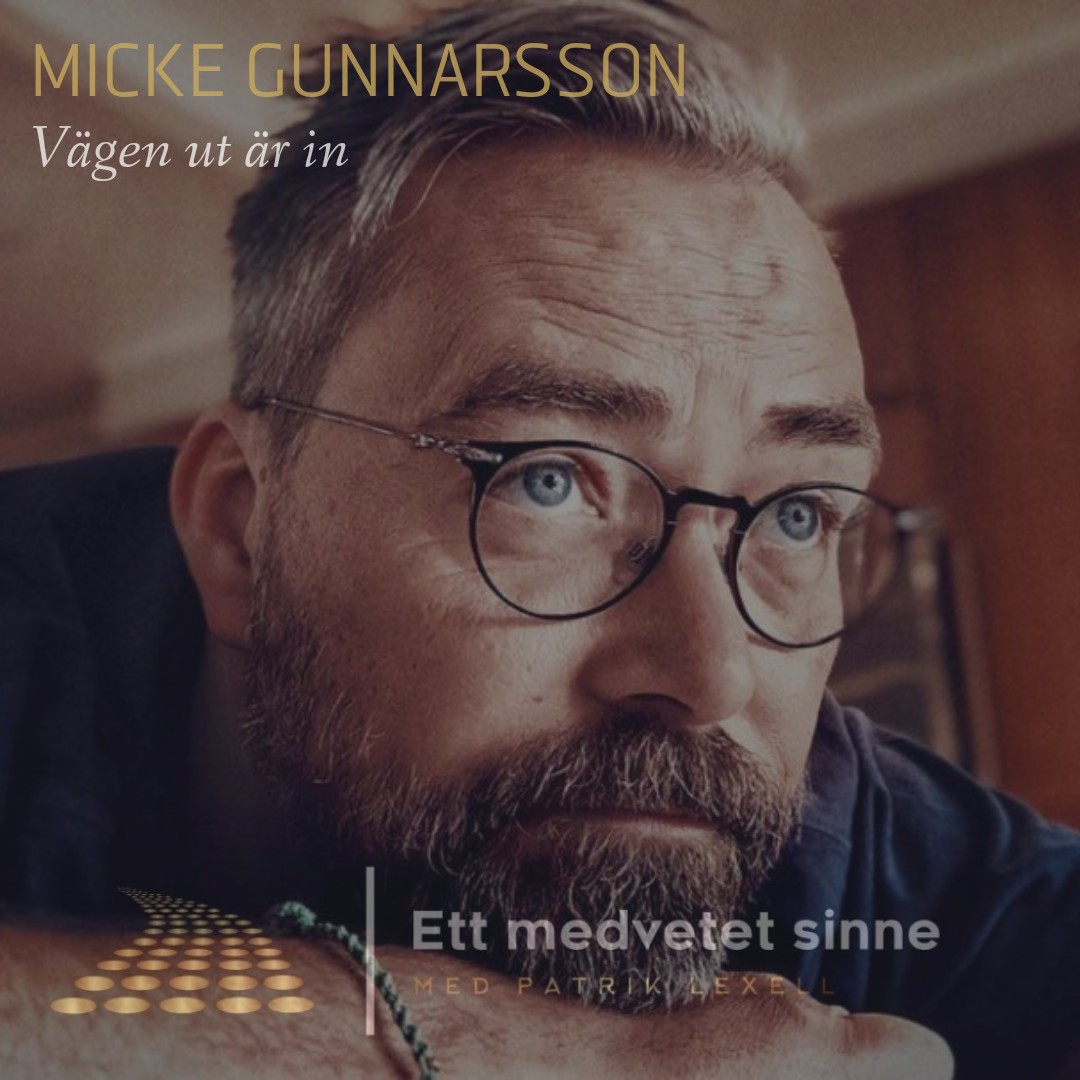 Ett medvetet sinne