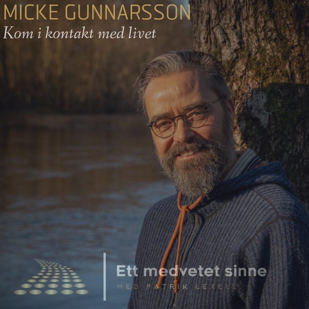 Ett medvetet sinne