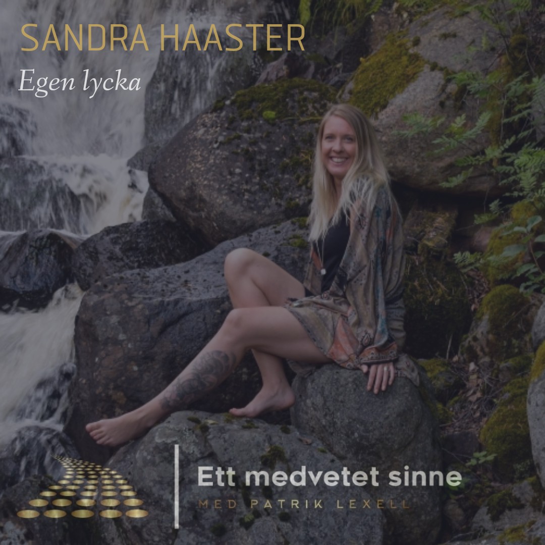 Ett medvetet sinne