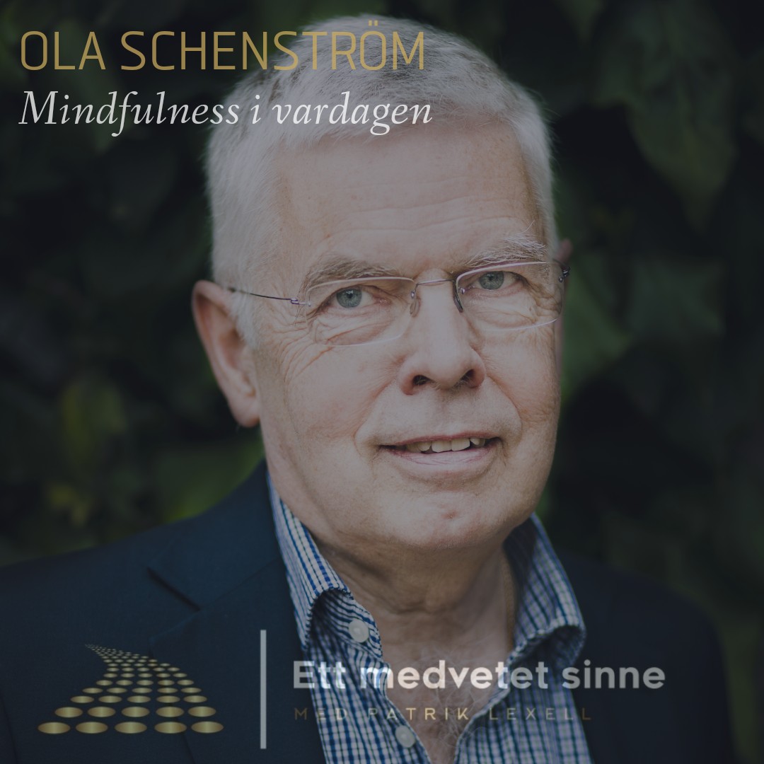 Ett medvetet sinne