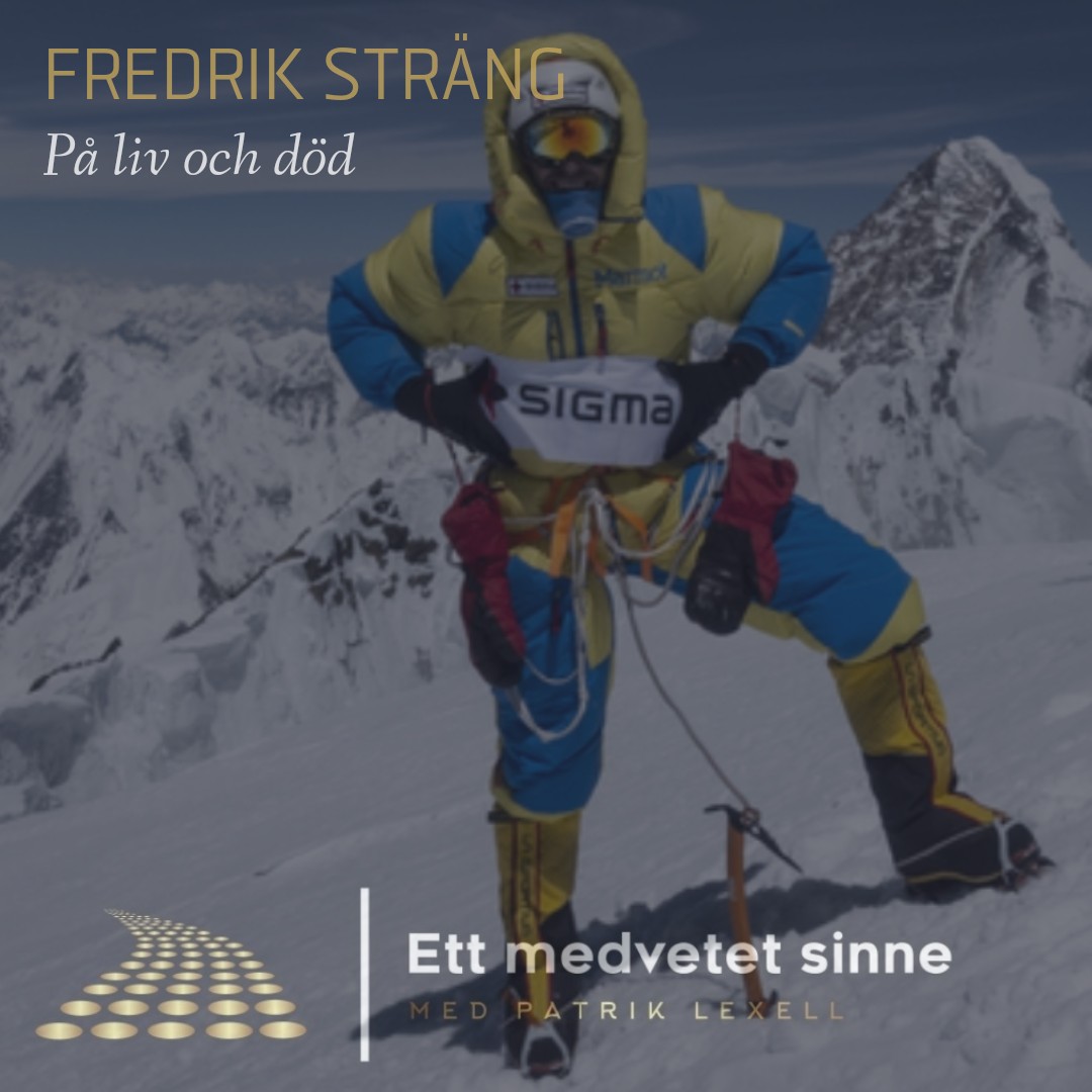 Ett medvetet sinne