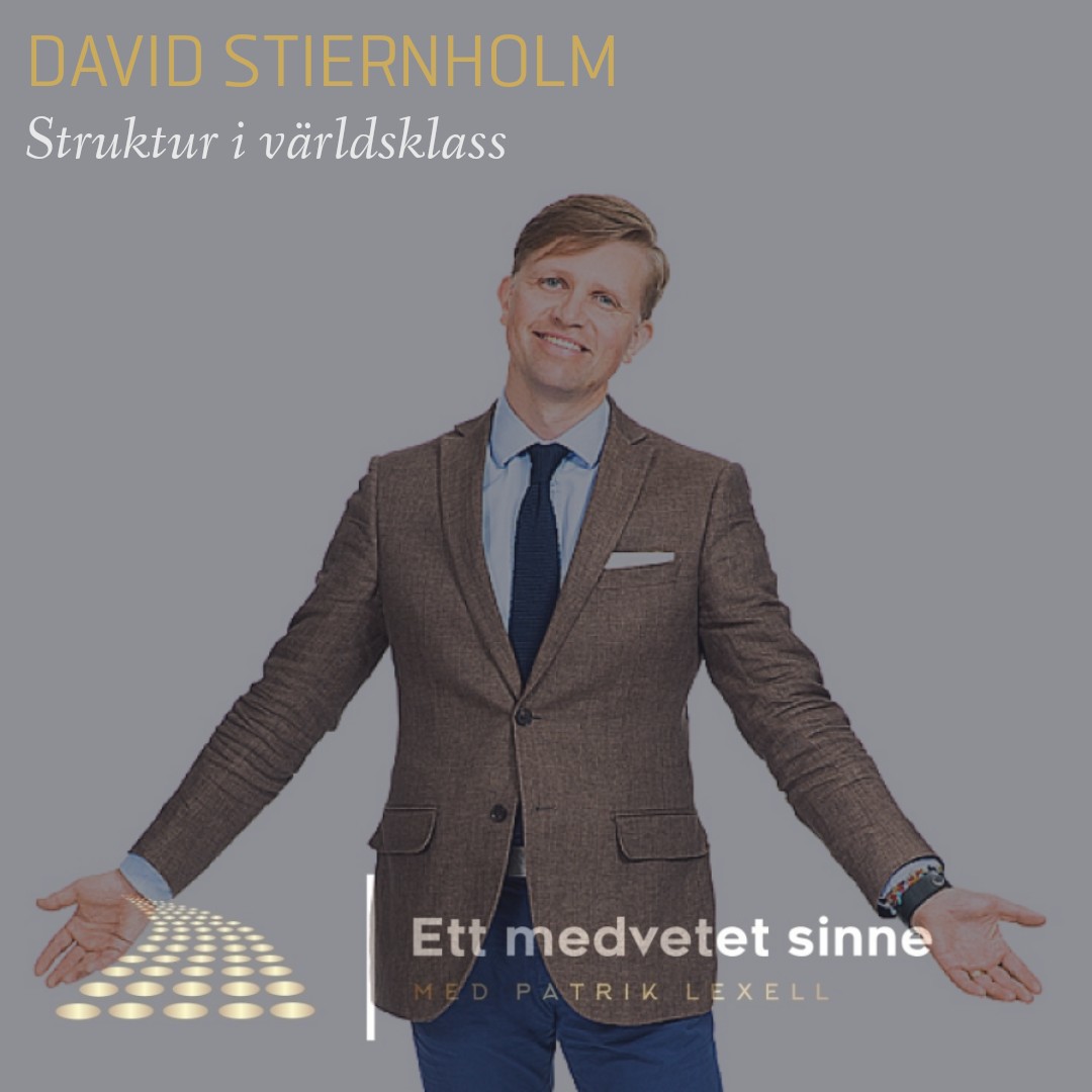 Ett medvetet sinne