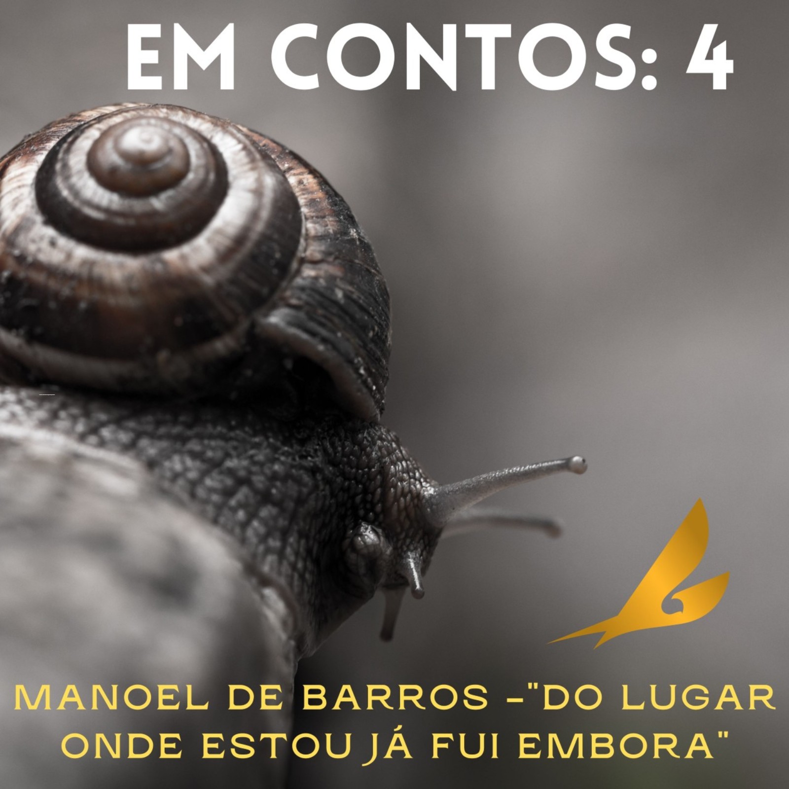 Filosofia e Arte