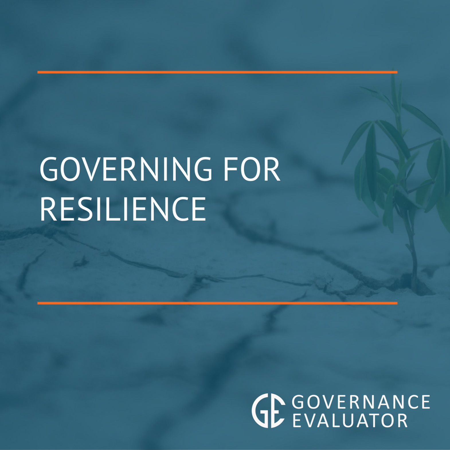 Governing for Resilience