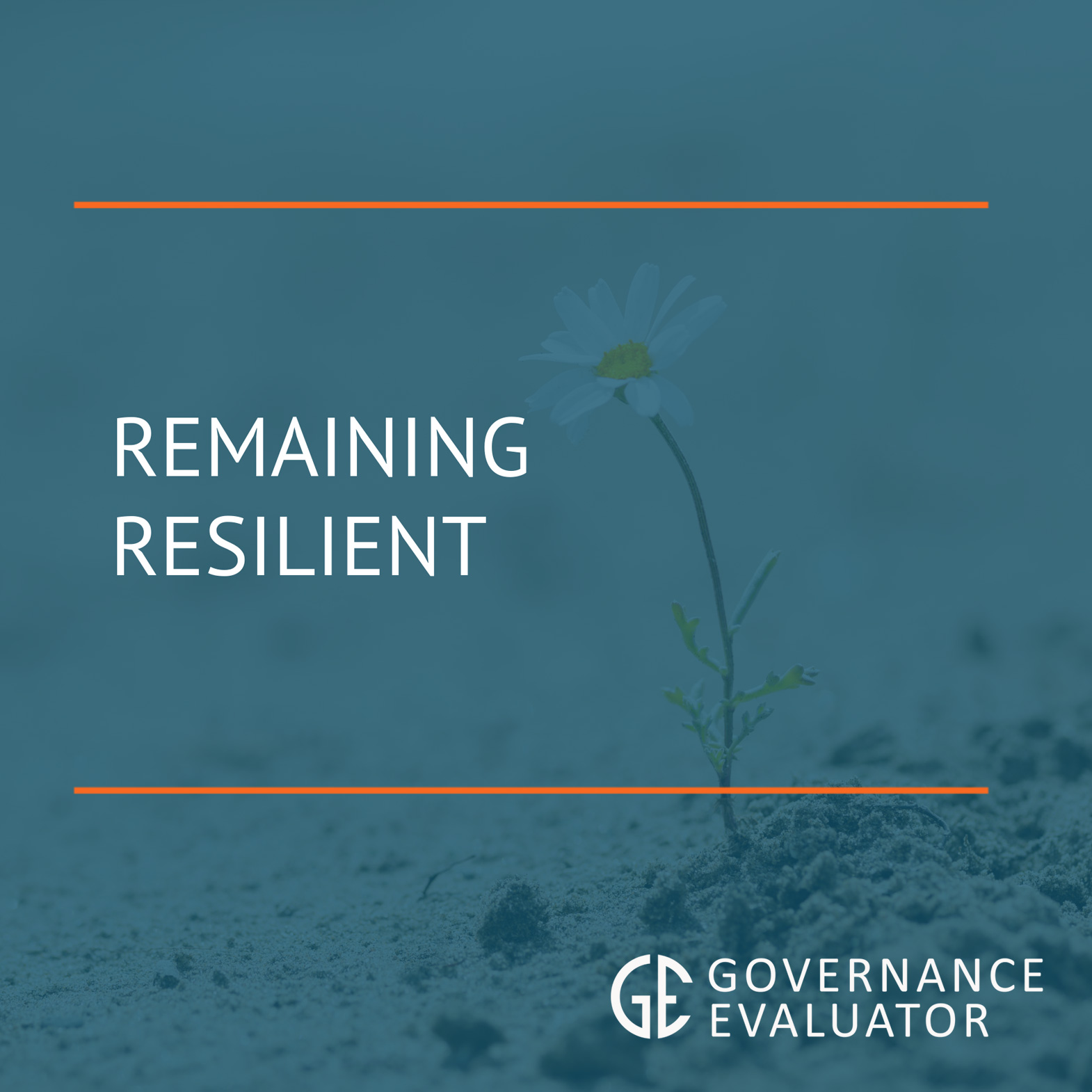 Remaining Resilient