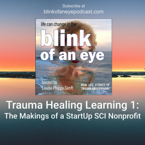 Trauma Healing Learning 1: The Makings of a StartUp SCI Nonprofit (with Retired Rear Admiral Tom Beeman, Dr. Kris Radcliff and Dr. Justin Tortolani)