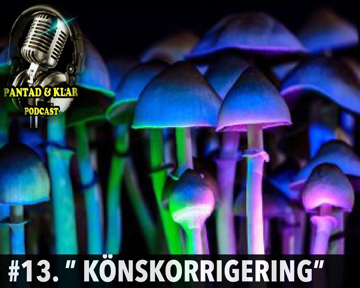 13. ” könskorrigering ” 13. ” könskorrigering ”