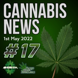 The USA to Stop Using Racist Word ”Marijuana”, Legal Cannabis Patients Keep Being Assaulted By Police, Switzerland Trial Legal Recreational Cannabis, Cannabis News #17