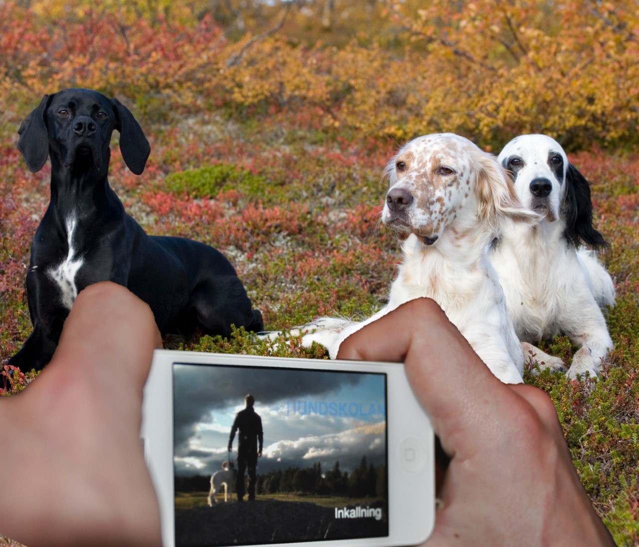 Vildmarken Podcast