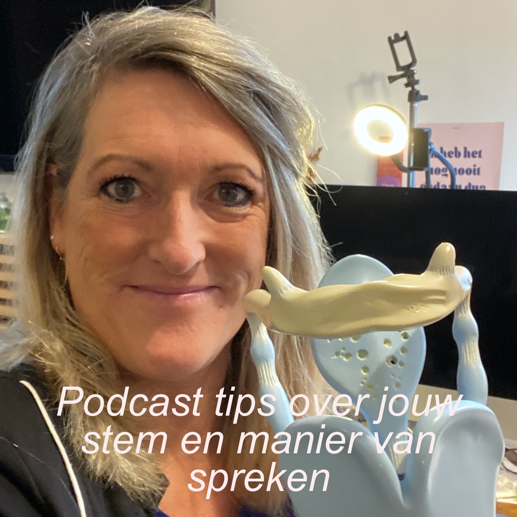 De Stem Podcast