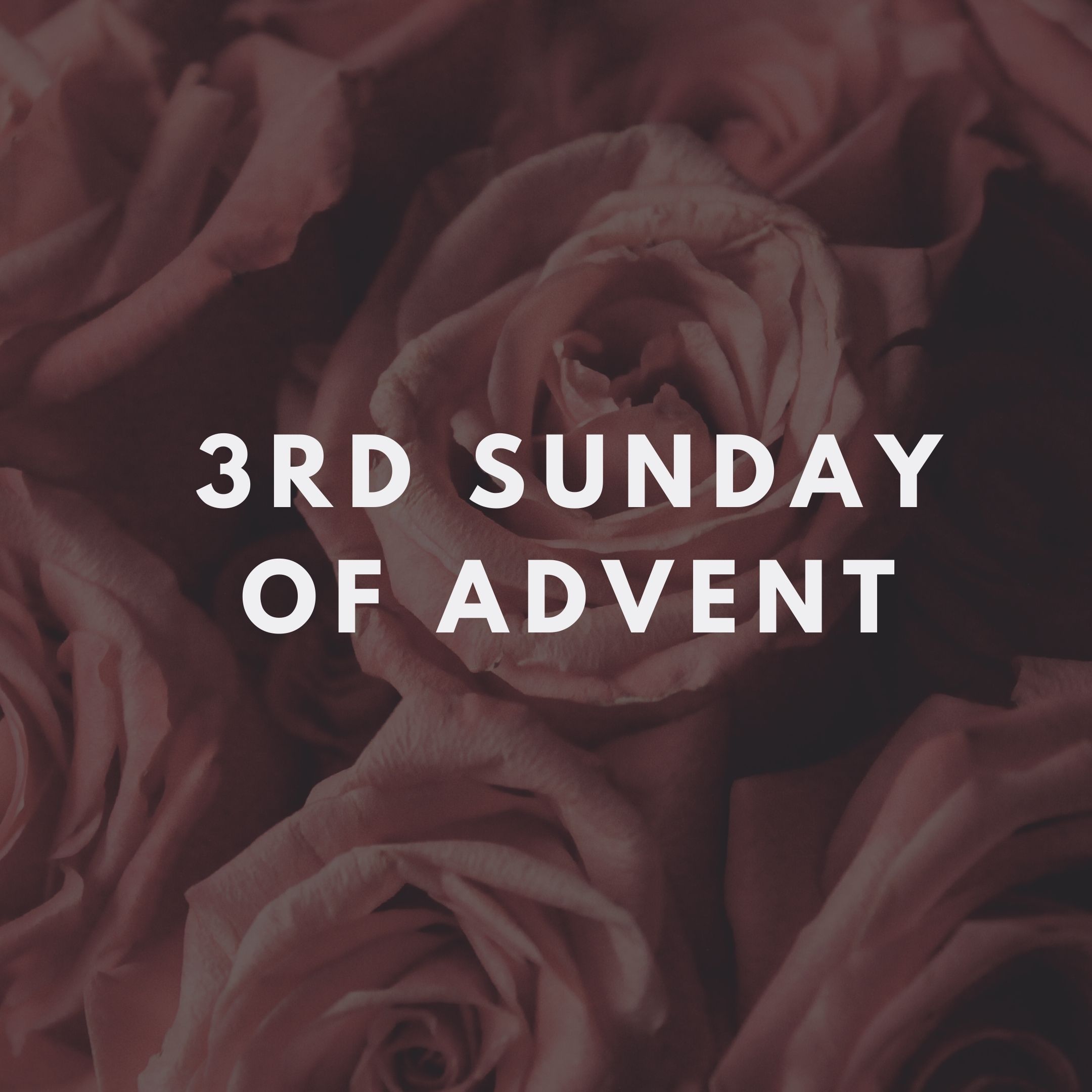 The Gift of Prophecy