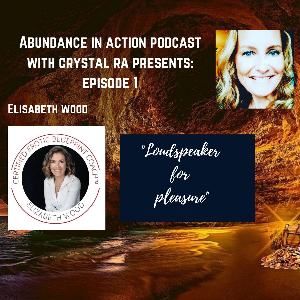 The AbundanceInAction\'s Podcast