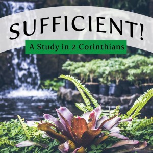 Hope for the Downcast - Sufficient Series #15