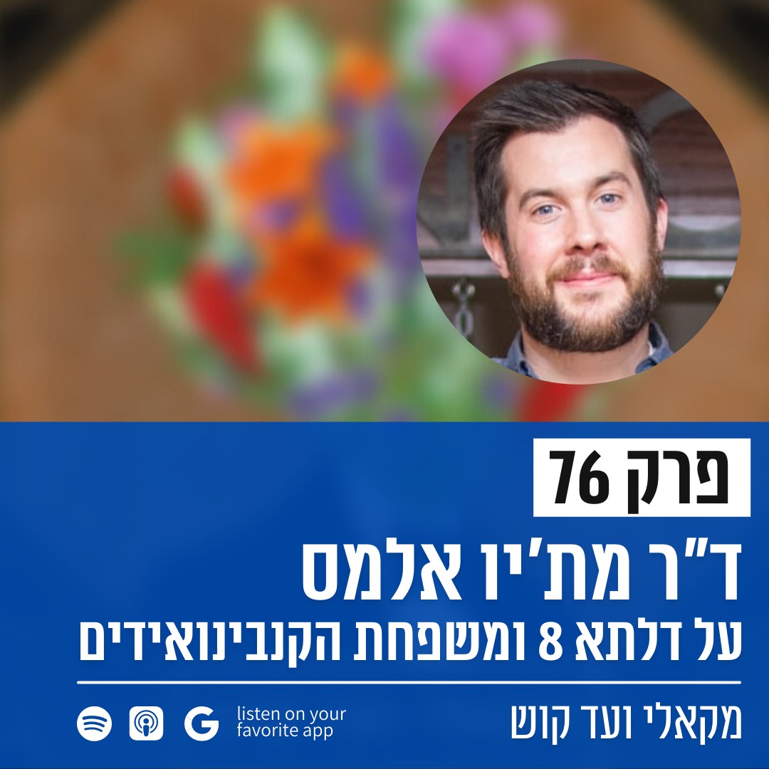 מקאלי ועד קוש