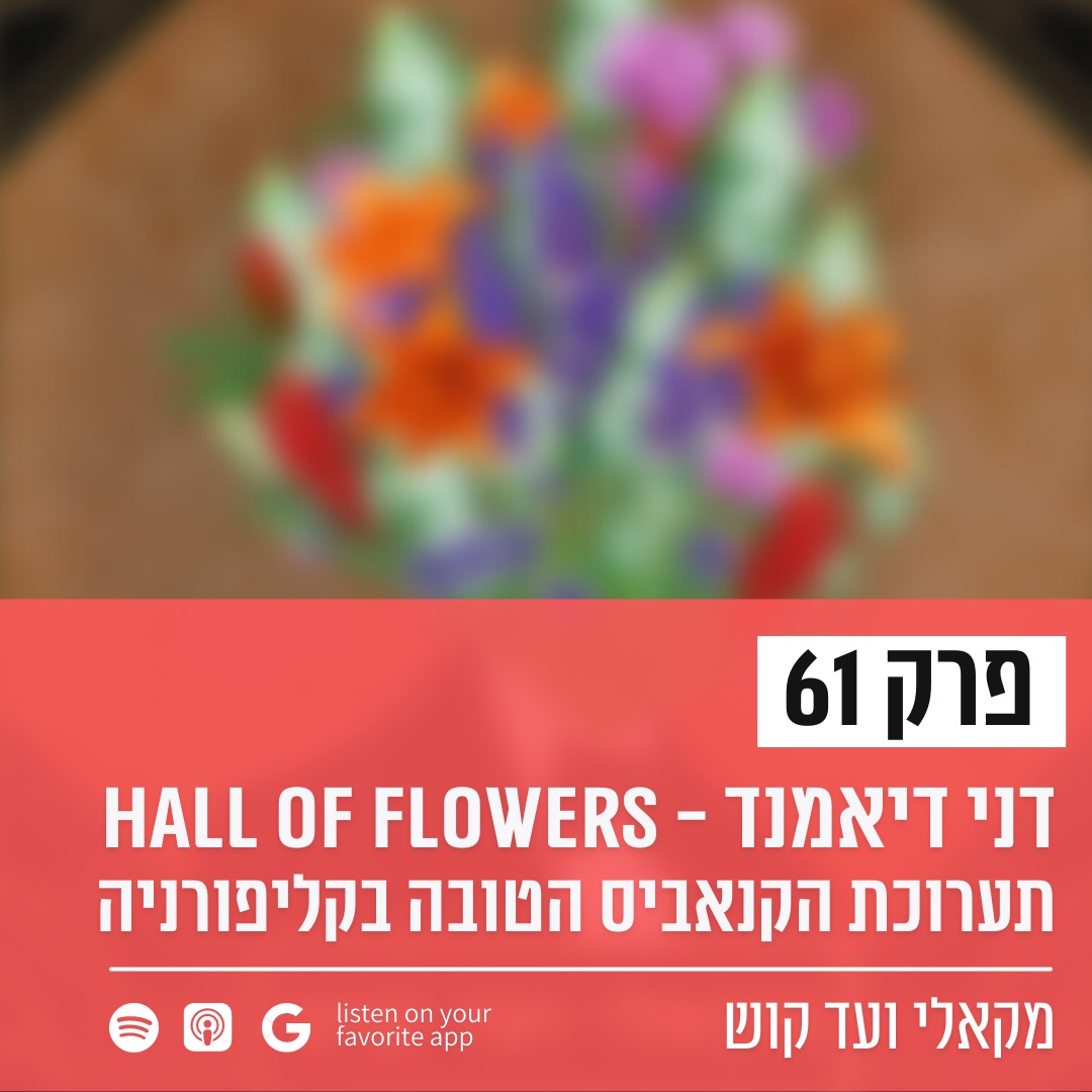 מקאלי ועד קוש