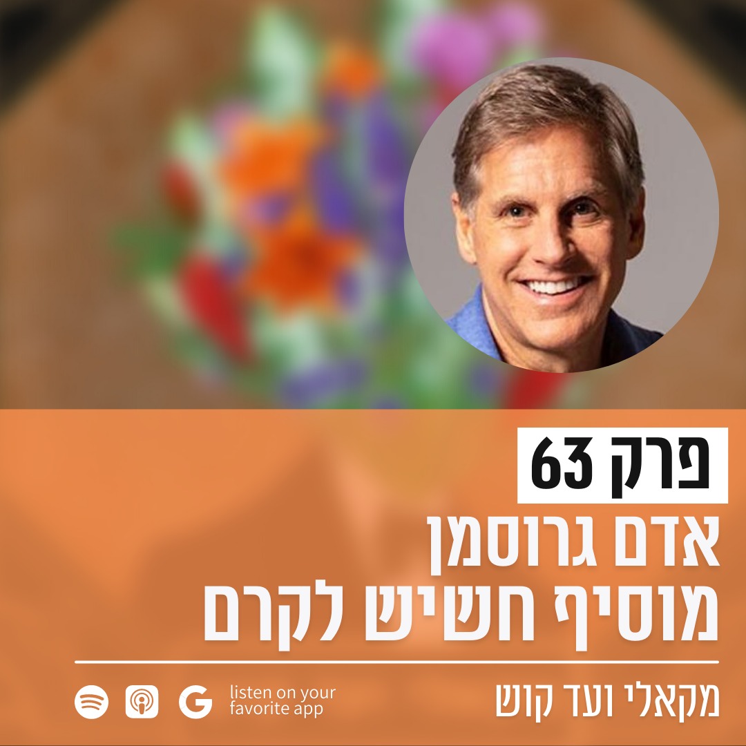מקאלי ועד קוש
