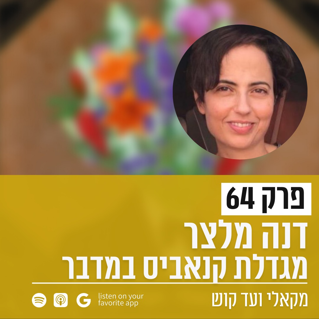 מקאלי ועד קוש