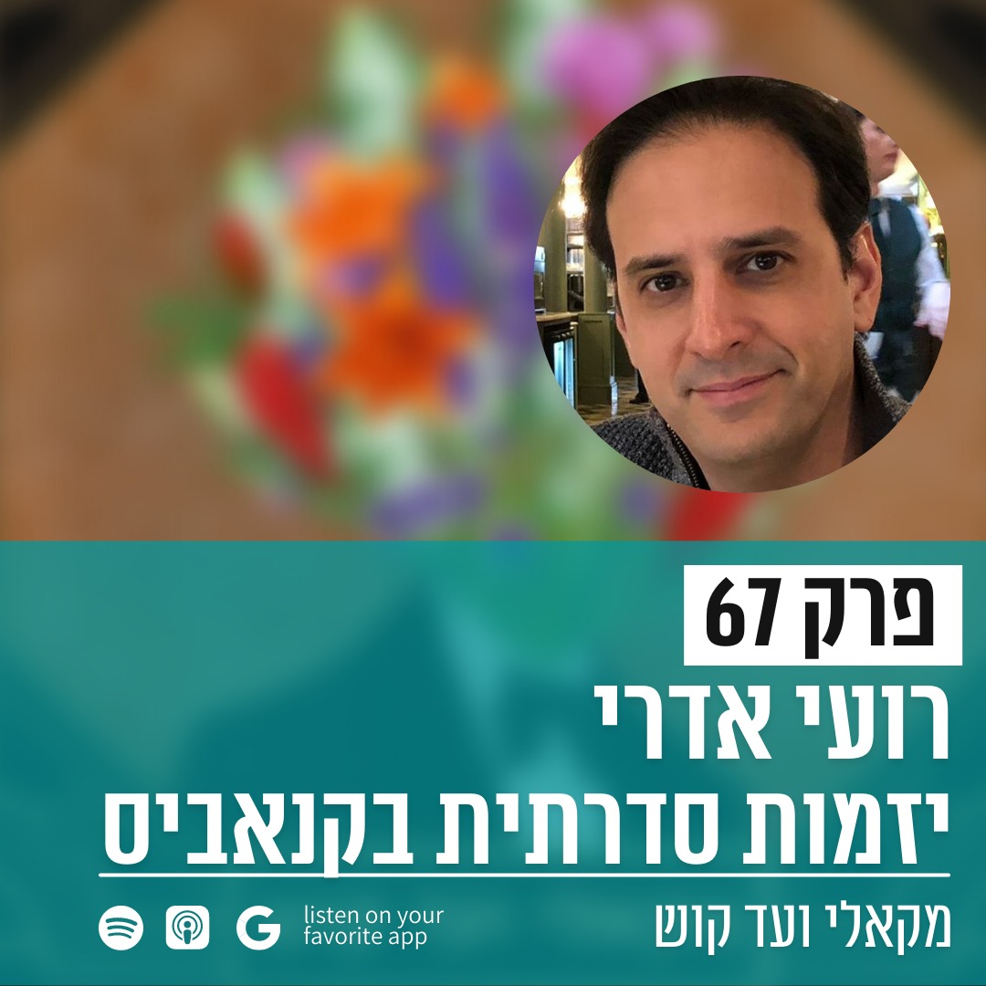 מקאלי ועד קוש