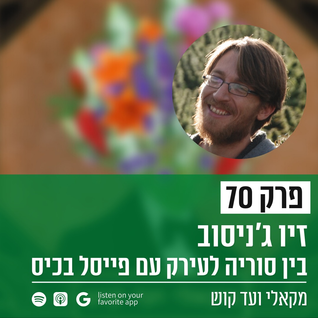 מקאלי ועד קוש