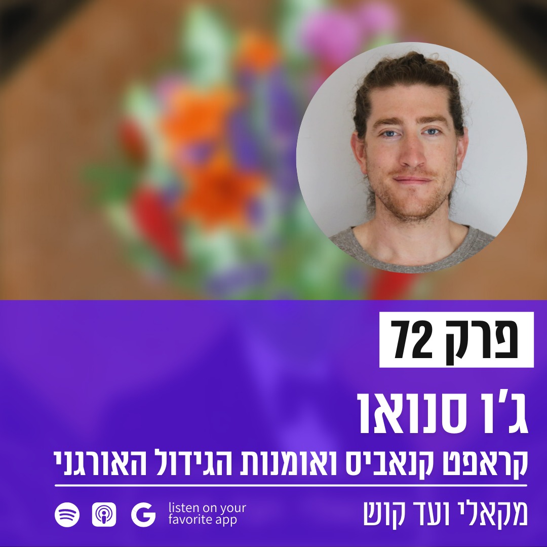 מקאלי ועד קוש