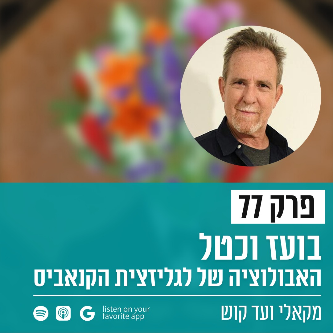 מקאלי ועד קוש
